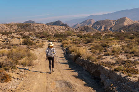 Precious curve in the path of the desert canyon of Tabernas, province of AlmerÃ­a, Andalusia. On a trek in the Rambla del Infiernoの写真素材