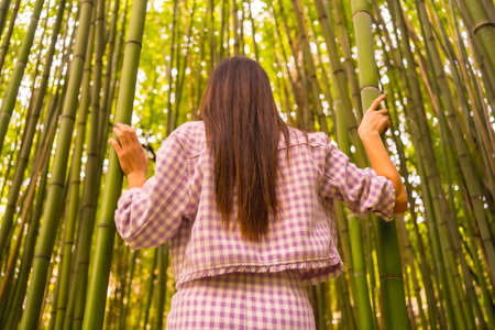 Young caucasian girl with a pink skirt in a bamboo forest. Enjoying the summer holidays in a tropical climate, strolling back in the woods holding the bamboo trunksの写真素材