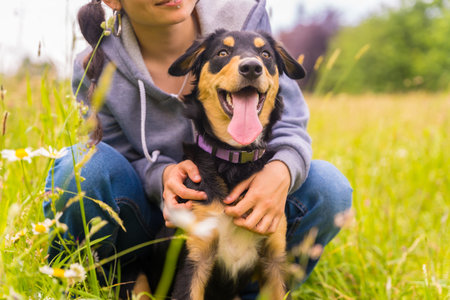 Portrait of a young girl with a cute dog sitting on a sunny spring day in a flower meadow, puppy dog...