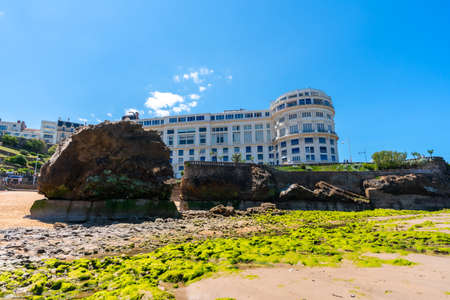 Green moss at low tide on the beach under the Basta Rock of Biarritz beach, Lapurdi. Franceのeditorial素材
