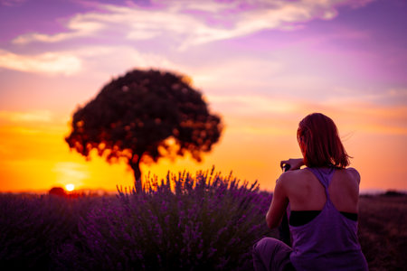 A woman photographs at sunset in a lavender field taking a photo, Brihuega. Guadalajara, Spain.の写真素材