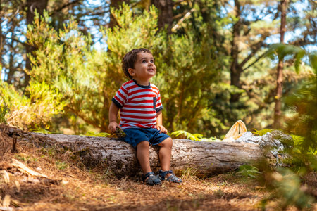 Portrait of a boy sitting on a tree in nature next to pine trees in autumn, Madeira. Portugalの写真素材