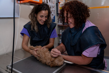 Veterinary clinic, veterinarians performing x-ray to a dog on the work tableの写真素材