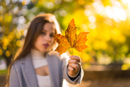 A pretty woman enjoying autumn in a park at sunset, showing a leaf from a treeの写真素材