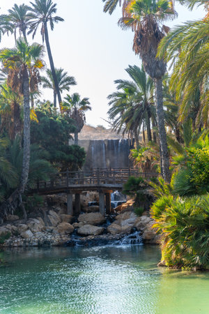 Landscape of palm trees and ponds in the El Palmeral park in the city of Alicanteの写真素材