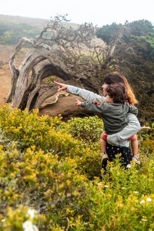Mother and son looking at the flowers next to a Sabinar tree twisted by the wind in El Hierro. Canary Islandsの写真素材