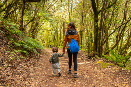 Trekking through Las Creces on the trail in the moss tree forest of Garajonay National Park, La Gomera, Canary Islandsの写真素材
