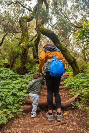Mother and son on some stairs on the trail in the mossy tree forest of Garajonay National Park, La Gomera, Canary Islands. On the excursion to Las Crecesの写真素材