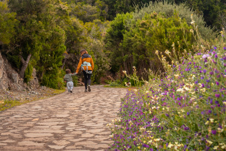 Mother and son on the trail up to the top of Garajonay in La Gomera, Canary Islandsの写真素材