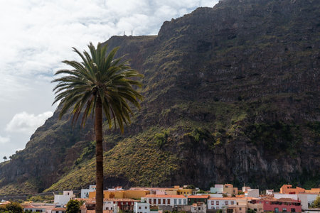 A palm tree next to the streets in the village of Agulo in the north of La Gomera in summer, Canary Islandsの写真素材