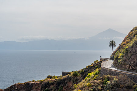 Coastal road in the village of Agulo in the north of La Gomera with a palm tree and Tenerife in the background, Canary Islandsの写真素材