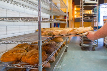 Baker of bakery in the artisan workshop workshop placing the loaves of the oven on the shelvesの写真素材