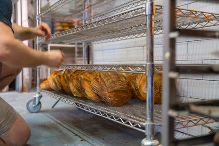Male employee baker of bakery in workshop workshop of artisan bakery placing baked loaves