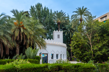 Tourist office in the palm grove park of the city of Elche. Spainの写真素材