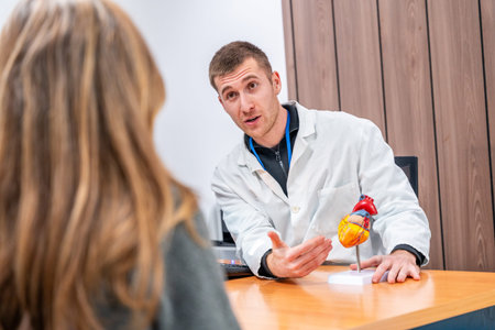 Doctor cardiologist using a model of a heart to explain surgery to a female patientの写真素材