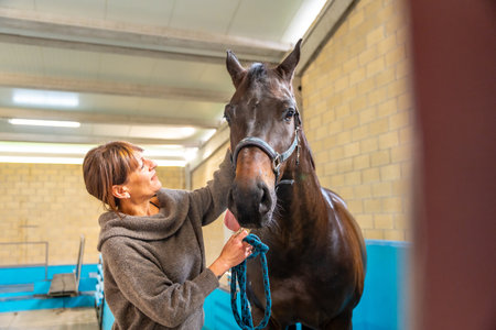 Female veterinarian looking and caring for a horse after hydrotherapy on a centerの写真素材
