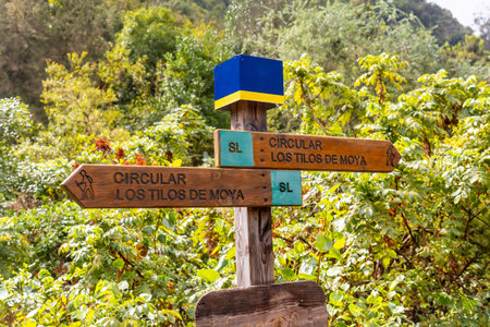 Trail signs in the Laurisilva forest of Los tilos de Moya in Doramas, Gran Canariaの写真素材