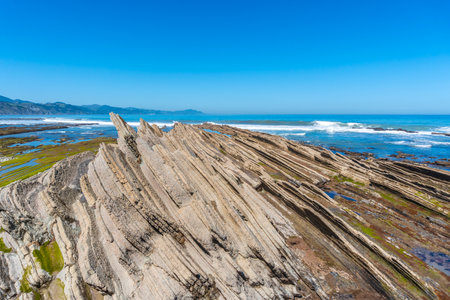 Flysch Basque Coast Geopark in Zumaia with low seas with marine vegetation, Gipuzkoaの写真素材