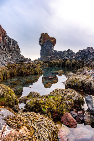 Picturesque rock formations by the sea at Djupalonssandur beach on the Snaefellsnes peninsula in...