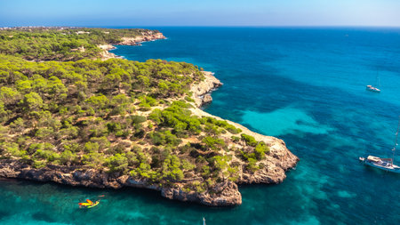 Breathtaking aerial view highlighting Mallorca's coastline, where lush green vegetation meets the crystal clear turquoise Mediterranean watersの写真素材