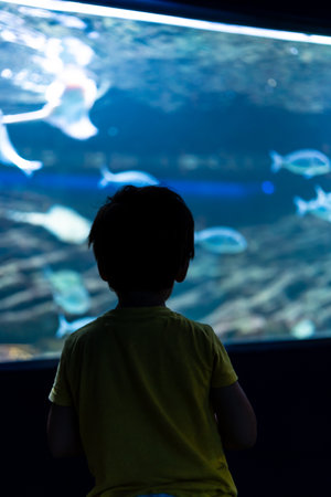 Silhouette of a child gazing at colorful fish swimming gracefully in a large, illuminated aquarium tank, sparking curiosity and wonderの写真素材