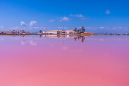 Calm pink water reflecting industrial buildings and palm trees under a blue sky in the salt flats of san pedro del pinatarの写真素材