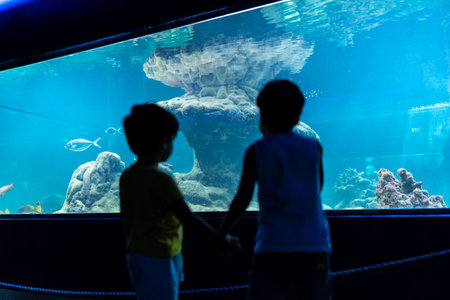 Two young brothers holding hands are captivated by the vibrant marine life swimming in a large...