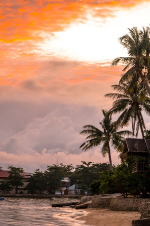 Vibrant sunset illuminating palm trees and houses along the coast of Siargao island, Philippines, creating a tropical paradise sceneの写真素材