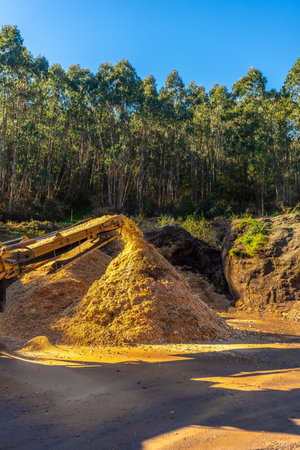 Vertical photo of an excavator outside a recycling plant
