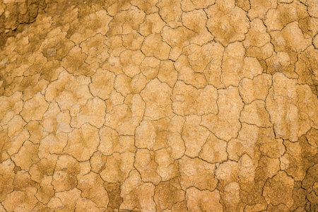 Cracked earth texture forming interesting patterns in Bardenas Reales desert, Navarre, Spain,...