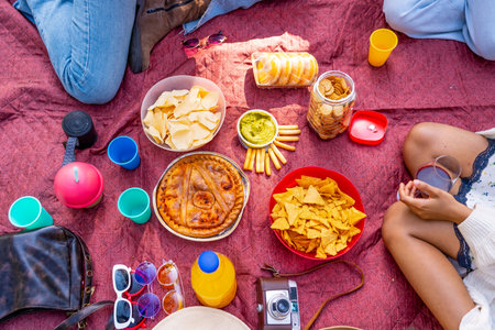 Savory pie, chips, crackers, guacamole, juice, and drinks arranged on a red picnic blanket, creating a vibrant and inviting scene for a casual outdoor gatheringの写真素材
