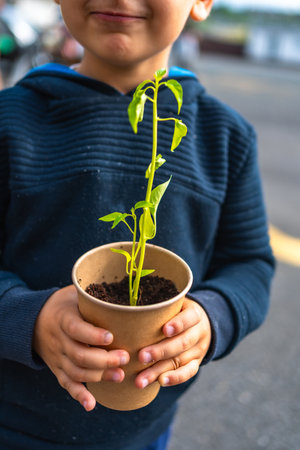 Close up of a child gently holding a small plant in a recycled paper cup, symbolizing environmental protection and care for natureの写真素材
