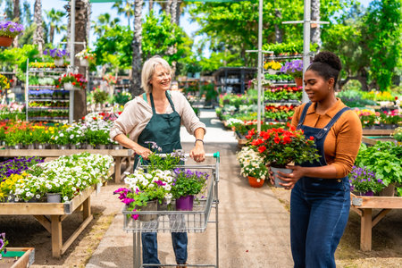 Two women working in a garden center pushing a cart and carrying flowers, surrounded by colorful plants and flowersの写真素材