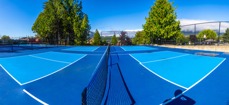 Four empty pickleball courts with blue surfaces and white lines are ready for players on a sunny day, surrounded by trees and a fence, with a basketball hoop in the backgroundの写真素材