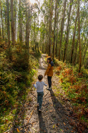 Mother and son are walking along a winding dirt path, exploring a vibrant eucalyptus forest with sunlight filtering through the tall trees, highlighting the lush green and autumnal foliageの写真素材