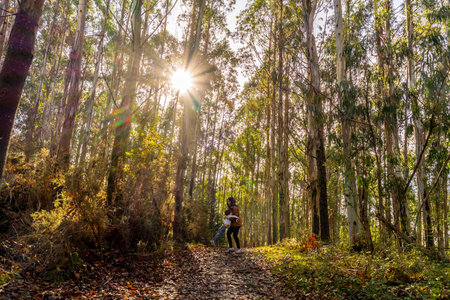 Happy mother spinning her child on a forest path, creating a joyful moment under the sunburst in the tall eucalyptus trees, symbolizing family connection and natural beautyの写真素材
