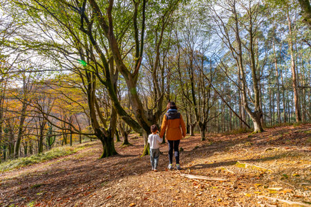 Mother and son enjoying a peaceful walk together through a mixed autumn forest, exploring nature and bonding during their family outing in the basque countryの写真素材