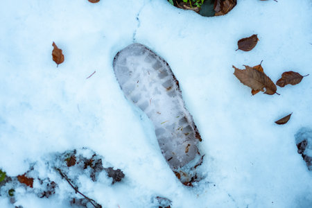 Boot tread leaving a clear imprint in the freshly fallen white snow, surrounded by scattered brown autumn leaves representing the changing seasons and outdoor explorationの写真素材