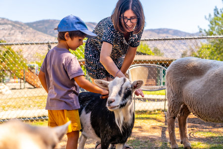 Happy mother and son petting a goat together at a petting zoo in Kamloops, British Columbia, enjoying a sunny day outdoors surrounded by animalsの写真素材