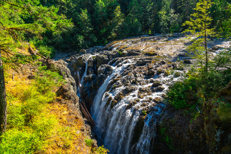 Englishman River Falls creates a stunning natural spectacle as water cascades down rocky cliffs amidst a vibrant green forest during a sunny summer day on Vancouver Islandの写真素材