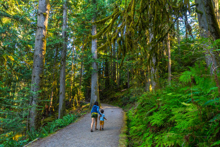 Mother and son enjoying a leisurely stroll along a tranquil gravel path, surrounded by the vibrant greenery of a dense forest in Englishman River Falls Provincial Parkの写真素材