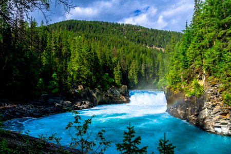 Flowing turquoise water of the Fraser River winds through a lush green forest toward Overlander...