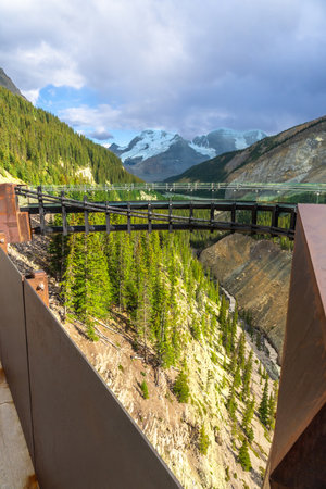 Glass bottom skywalk extending over sunwapta valley, offering views of athabasca glacier in jasper national park, surrounded by coniferous trees and rugged mountainsの写真素材