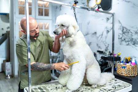 Pet groomer carefully combing and shaping the fur of a large white poodle on a grooming table, providing specialized dog care and styling services in a modern salon environment