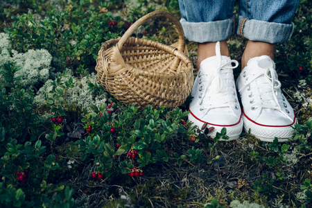 Human legs in sneakers close up in the forest standing next to a basket and red berries. People gather berriesの写真素材