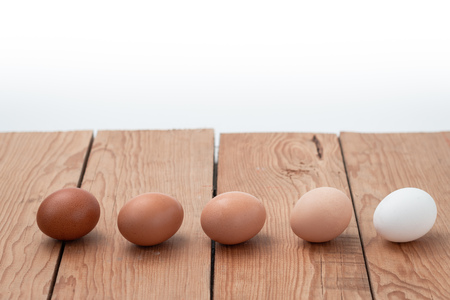 eggs and white backgroundの写真素材