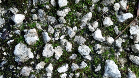Rocks の写真素材
