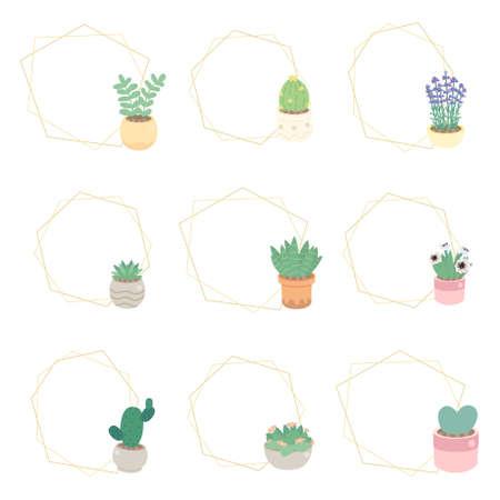 cute luxury flat style cactus and succulent with geometric golden frameのイラスト素材