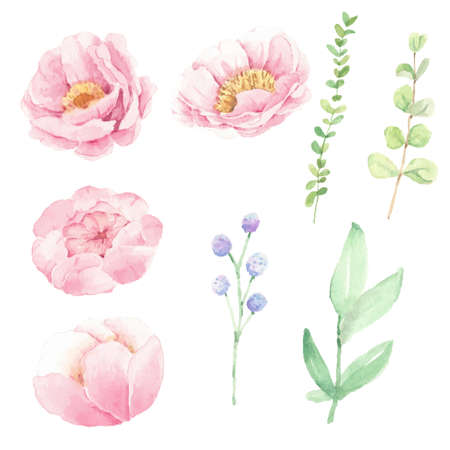 watercolor pink peony flower and green leaves elements isolated on white backgroundのイラスト素材