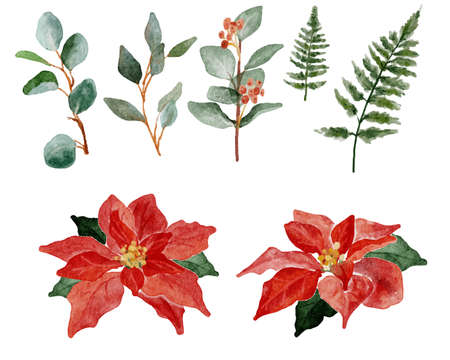 watercolor christmas poinsettia flower bouquet elements collectionのイラスト素材